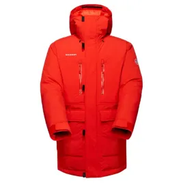 arctic