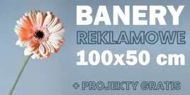 baner-reklamowy-oczkowany-100x50-dowolna-grafika-napis-projekt-gratis
