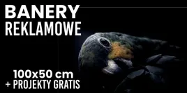 baner-reklamowy-oczkowany-100x50-cm-plandeka-projekt-gratis