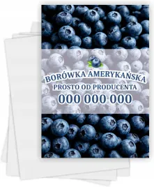ulotki-a6-reklamowe-firmowe-100szt-wiele-roznych-wzorow-sprzedaz-borowek
