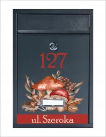 skrzynka-pocztowa-na-listy-z-twoim-napisem-adresem-numerem-domu-antracytowa