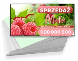 wizytowki-firmowe-100szt-duzo-wzorow-sprzdaz-malin