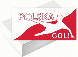 wizytowki-firmowe-foliowane-1000szt-wiele-wzorow-polska-gol