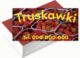 wizytowki-firmowe-200-szt-duzo-wzorow-do-wyboru-truskawki