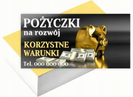 wizytowki-firmowe-reklamowe-100szt-duzo-wzorow-pozyczki-na-rozwoj