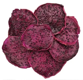pitaja-pitahaya-czerwona-suszona-bez-dodatku-cukru-nutin-100g