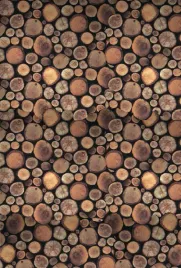 papier-do-scrapbookingu-drewno-wzor-4-32x475cm