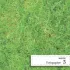 Kolor / wzór produktu #6