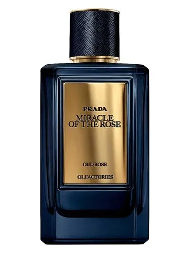 prada miracle of the rose