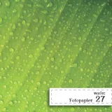 fotopapier-do-scrapbookingu-lisc-2-32x475cm