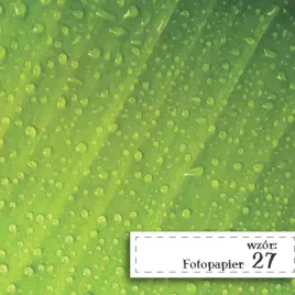 fotopapier-do-scrapbookingu-lisc-2-32x475cm