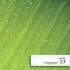Kolor / wzór produktu #29