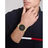 ty198780-marka-tommy-hilfiger