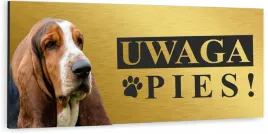 tabliczka-uwaga-zly-pies-basset-hound-zlota