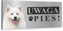 tabliczka-uwaga-zly-pies-samoyed-samojed-dibond
