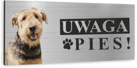 tabliczka-uwaga-zly-pies-airedale-terrier-3d-uv