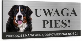 tabliczka-uwaga-zly-pies-bernenski-pies-pasterski