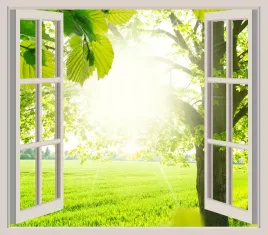 fototapeta-3d-okno-widok-laka-polana-las-slonce
