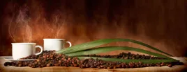 fototapeta-kuchenna-kawa-ziarena-liscie-380x256