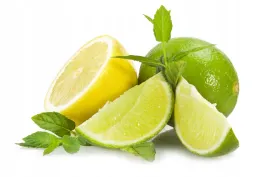 fototapeta-kuchenna-cytryny-limonki-mieta-200x130