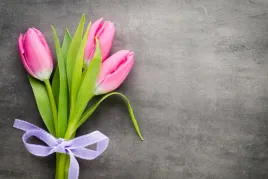 fototapeta-tulipany-bukiet-szarosc-260x180
