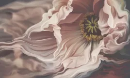 fototapeta-peonie-piwonie-kwiaty-na-wymiar-3d