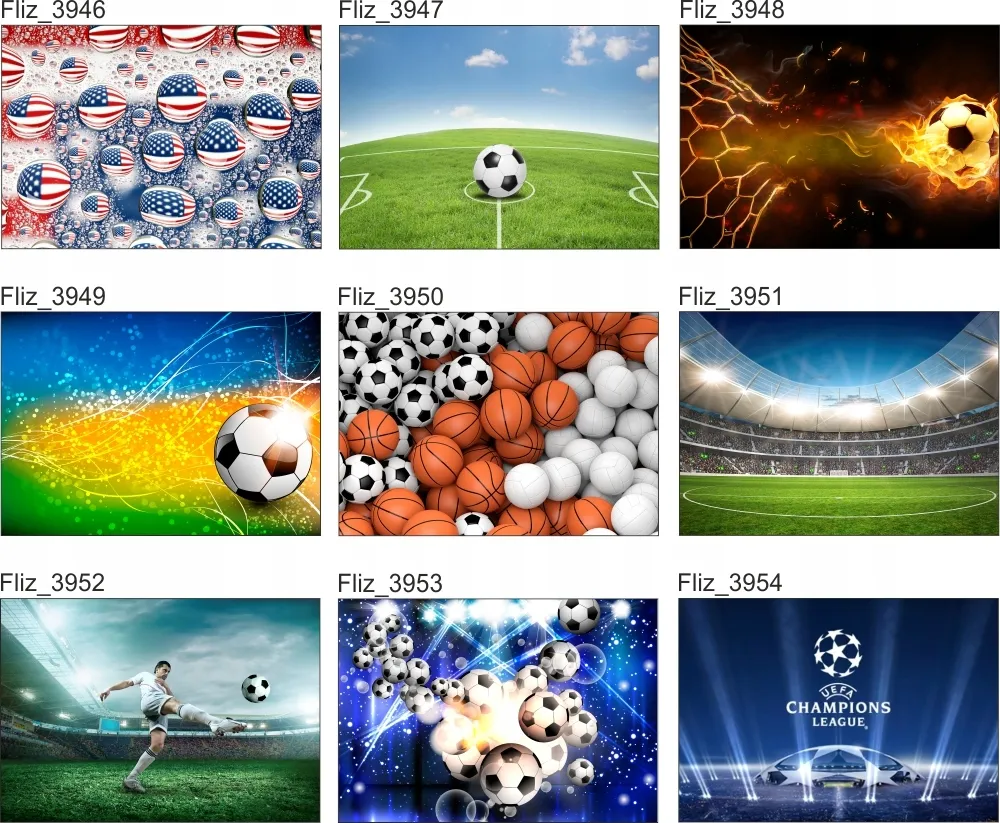 fototapeta-koszykowka-pilka-do-koszykowki