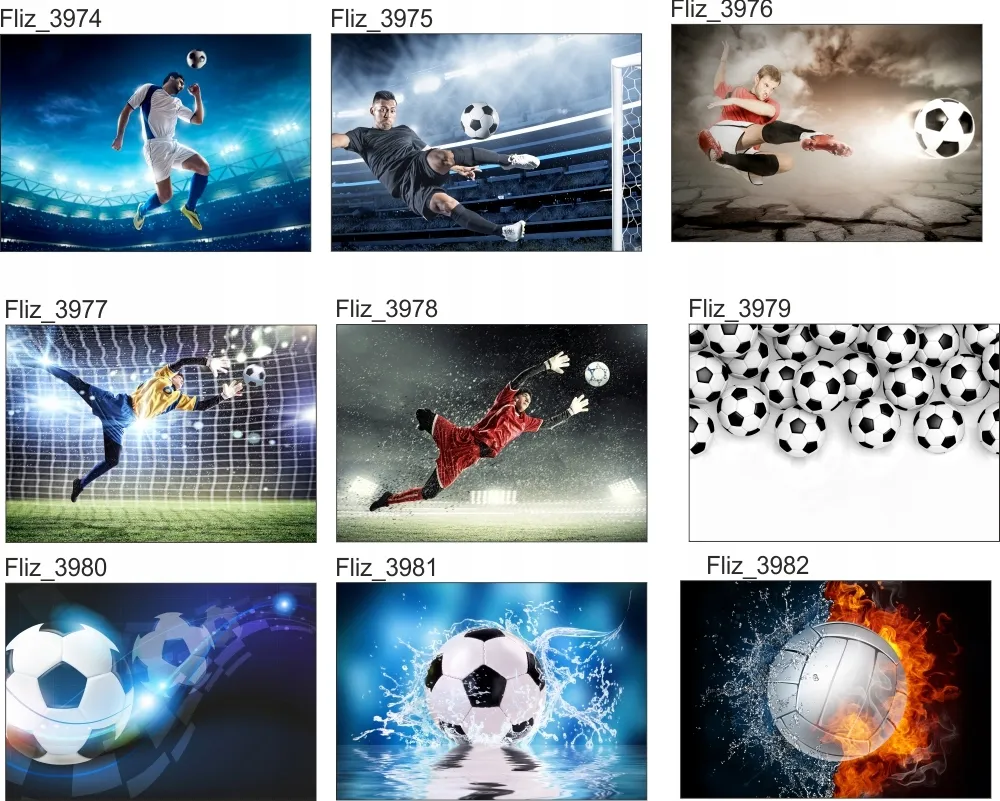 fototapeta-koszykowka-pilka-do-koszykowki