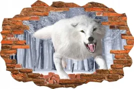 fototapeta-3d-naklejka-dziura-zwierzeta-bialy-wilk