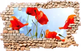 fototapeta-3d-naklejka-samoprzylepna-maki-kwiaty