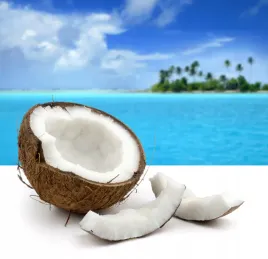 fototapeta-kuchenna-do-kuchni-kokos-ocean-tropiki