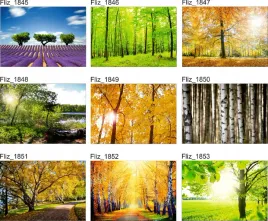 fototapeta-krajobraz-kwitnace-drzewo-trawa-mgla