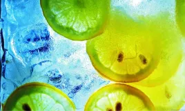fototapeta-plastry-cytryny-limonki-woda-380x256