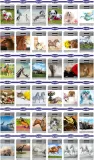 folia-skin-naklejka-samoprzylepna-zmywarka-pralka-kod-producenta-agmart-marka-agmart-stan-nowy
