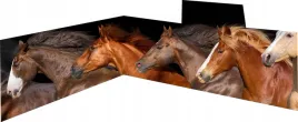 fototapeta-zmywalna-laminowana-kuchenna-na-wymiar