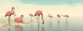 fototapeta-zwierzeta-natura-rozowe-flamingi-woda