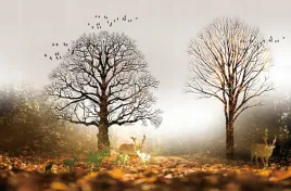 fototapeta-widok-natura-drzewa-zwierzeta-kwiaty