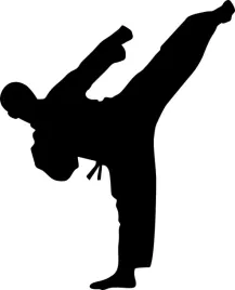 naklejka-naklejki-sporty-walki-karate-judo-boks-1m