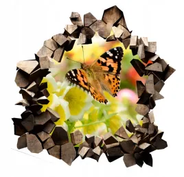 naklejka-samoprzylepna-3d-efekt-natura-przyroda