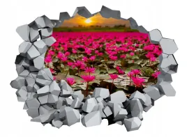 naklejka-samoprzylepna-3d-dziura-lilie-wodne-widok
