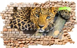 naklejka-efekt-3d-dziura-w-scianie-koty-psy-konie