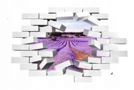 naklejka-samoprzylepna-3d-pole-lawendy-lawenda-hit