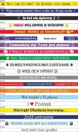 naklejki-na-ramki-pod-tablice-rejestracyjne-100szt