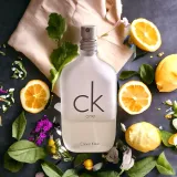 calvin-klein-ck-one-edt-300ml-atomizer-unisex-oryginal-marka-calvin-klein-produkt-wprowadzony-do-obrotu-na-terenie-ue-przed-13-12-2024-tak