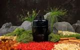 bentley-for-men-absolute-edp-100ml-flakon-korek-stan-nowy-produkt-wprowadzony-do-obrotu-na-terenie-ue-przed-13-12-2024-tak
