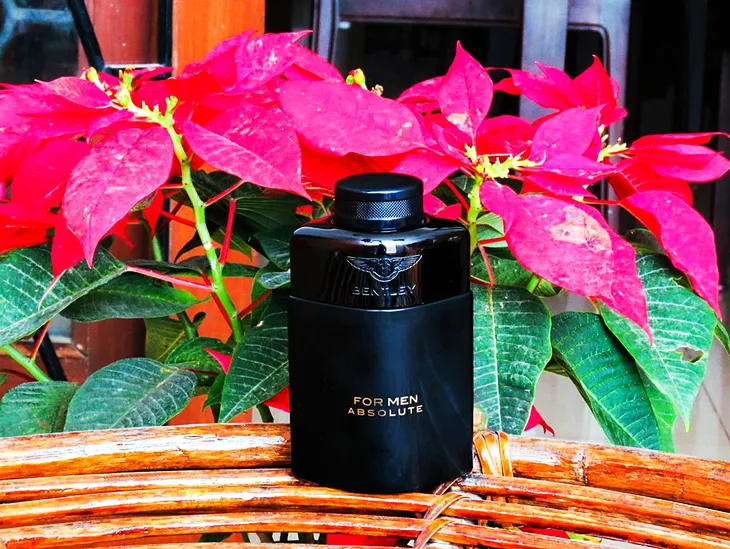 bentley-for-men-absolute-edp-100ml-flakon-korek-marka-bentley-produkt-wprowadzony-do-obrotu-na-terenie-ue-przed-13-12-2024-tak