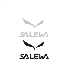 zamiennik-salewa-termo-naprasowanka-prasowanka-na-odziez-koszulka-t-shirt