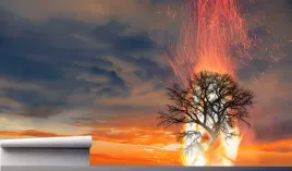 fototapeta-drzewo-plonace-w-ogniu-niebo-390x280