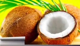 fototapeta-orzech-kokosowy-liscie-palm-390x280