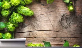 fototapeta-deski-galazki-chmielu-liscie-370x250